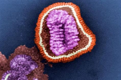 Chemists Discovered The Structure Of A Key Influenza Protein