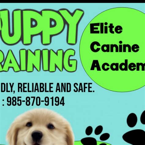 Elite Canine Academy Dog Trainer