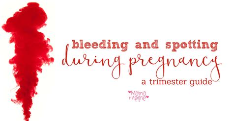 Bleeding And Spotting During Pregnancy Mama Hippie