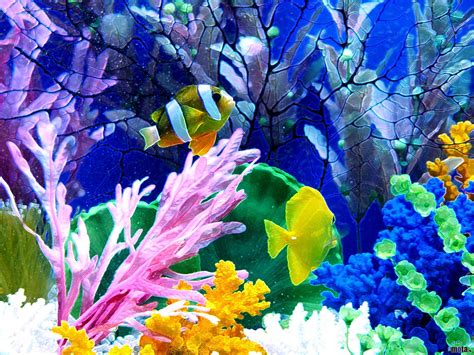 3d Aquarium Wallpaper 52 Images