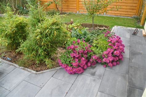 Erfahrungsbericht über unsere badetonne im garten. Herbstaster - tolle Blütenpracht im Herbst in lila/rosa ...