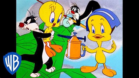 Looney Tunes Best Of Tweety Bird And Sylvester Classic Cartoon