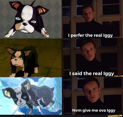 I Perfer The Real Iggy Isaid The Real Iggy Nvm Give Iggy Ifunny