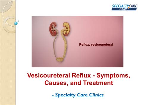 vesicoureteral reflux symptoms causes and treatment by specialty care clinics issuu