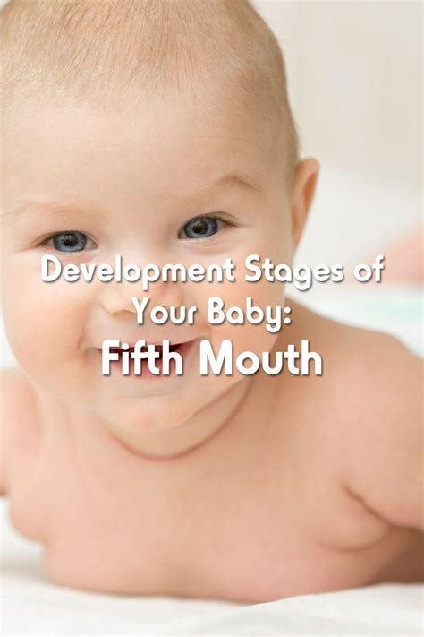 Development Stages Of Your Baby Fifth 5 Month Baby Development 5
