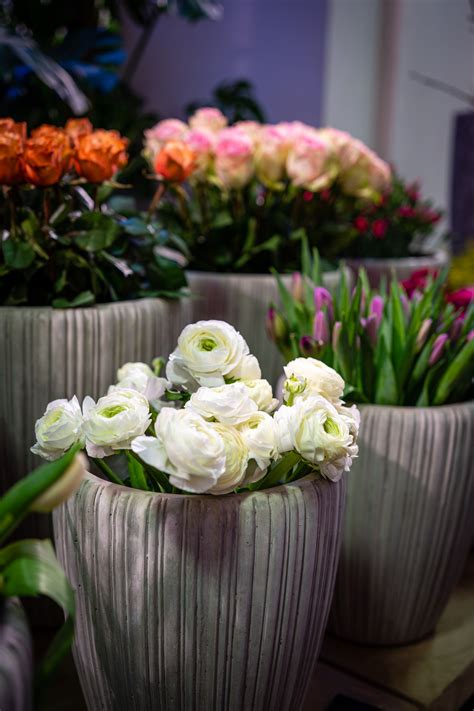 Warum ist sie so wichtig? Vorlage Blume Dankbarkeit / Bedanke dich mit einem wundervollen blumenstrauß bequem per post.