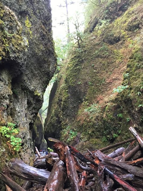 The Columbia River Gorge Hiking Multnomah Falls Travels N Trails