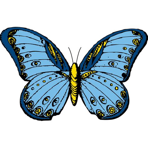 Blue And Yellow Butterfly Png Svg Clip Art For Web Download Clip Art