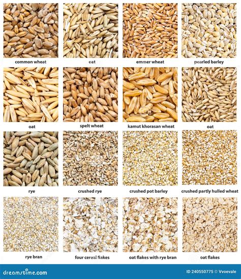 Various Cereal Grains With Names Close Up Stock Image Image Of