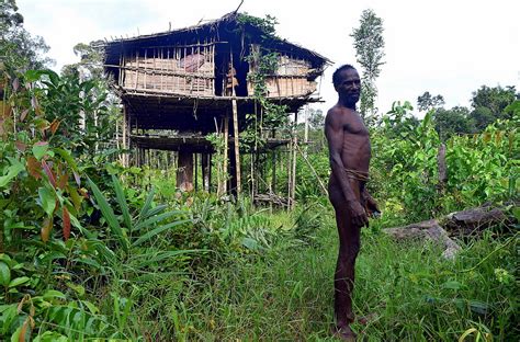 Stone Korowai Tribe Cultural Trek West Papua