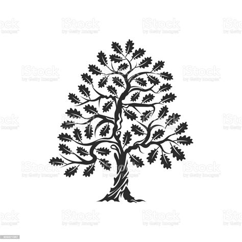 Huge And Sacred Oak Tree Silhouette Badge Isolated On White Background