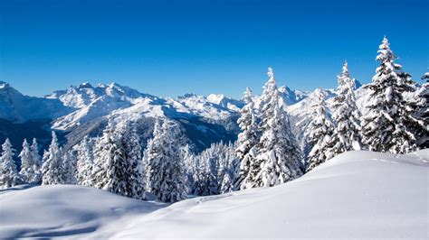 Snow Mountains Nature Winter Time Trees Snowy Winter Landscape