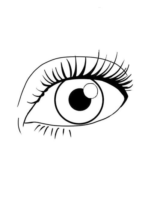 Human Eye Coloring Page Free Printable Coloring Pages For Kids