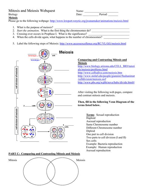 Flowchart Wiring And Diagram Venn Diagram Comparing Mitosis And Meiosis