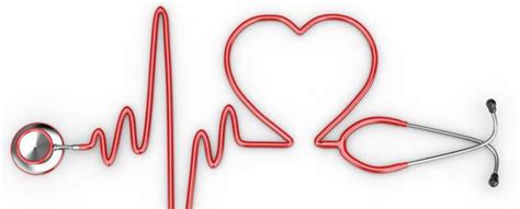 Ecg Electrocardiogram Heartbeat Monitoring Information Myvmc
