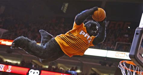 For their first 11 seasons the suns had no mascot. Phoenix Suns Gorilla to celebrate a birthday