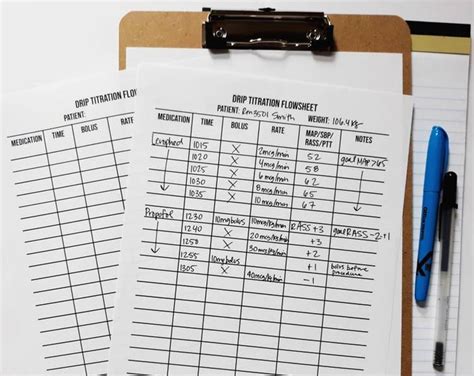 Drip Titration Flowsheet Icu Nurse Brain Sheet Nurse Report Etsy