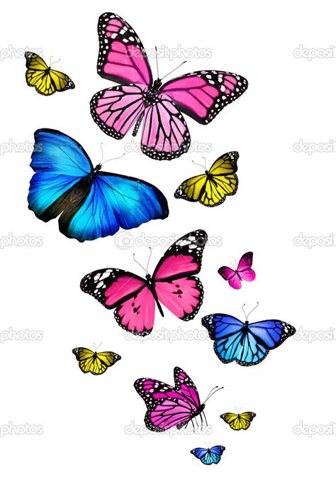 Dibujos De Mariposas Volando Decoración De Mariposas Volando Como