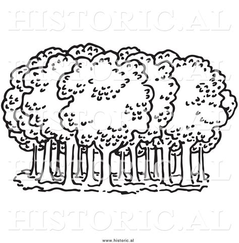 Tree black silhouette isolated on white background. black and white clipart of trees - Clipground