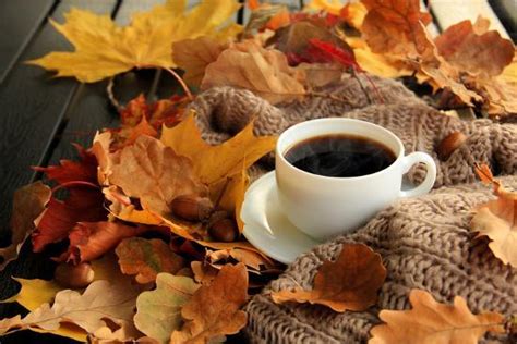 Autumn Fall Leaves Hot Steaming Cup Of Coffee And A Warm