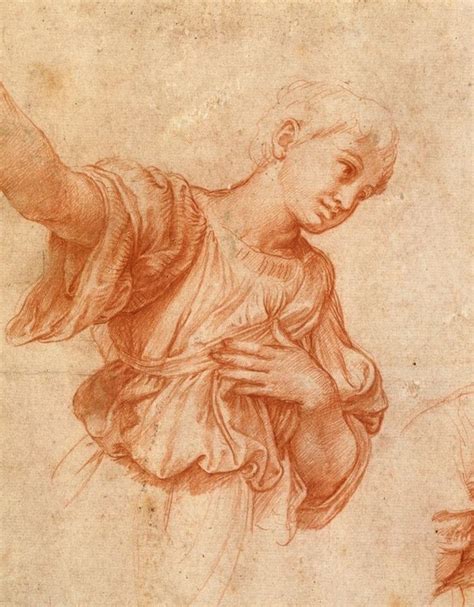 Raphael Portrait Drawing Drawings Renaissance Art