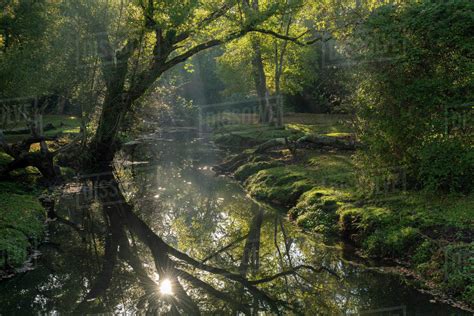 Early Morning Sunshine Reflects In The Beaulieu River New Forest