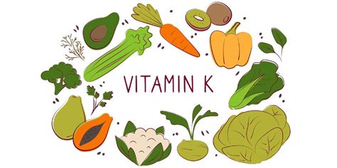 30 Foods High In Vitamin K1 Phylloquinone Nutrition Advance
