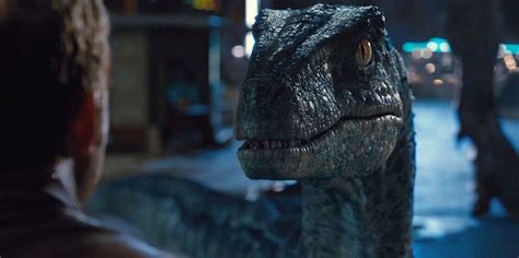 5 Reasons You Know The Love Is Real Between Owen And Blue In ‘jurassic