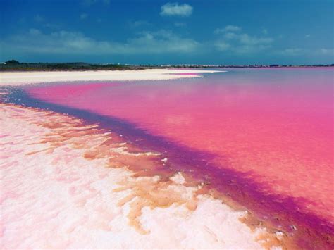 Lake Hillier The Unique Pink Lake In Western Australia