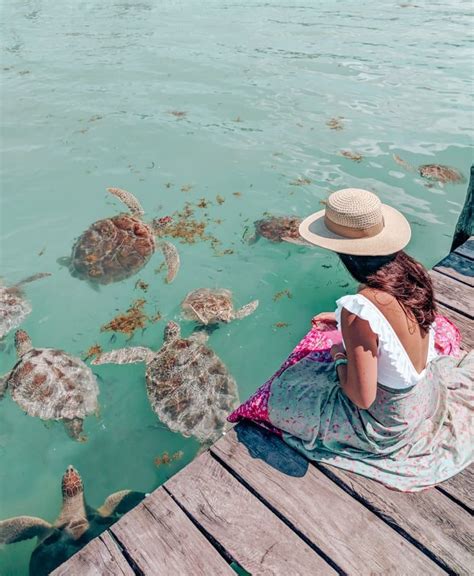 Exploring Isla Mujeres Off The Coast Of Cancun Mexico Artofit