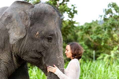 Girl Hugging An Elephant In The Jungle Stock Image Image Of Female