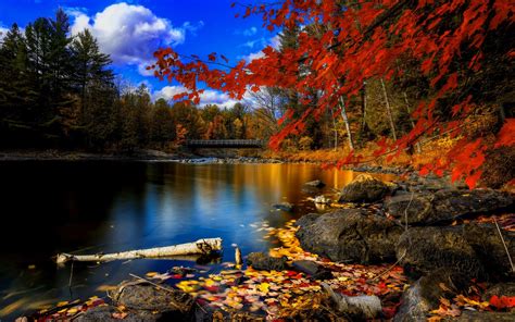 4k Autumn Season Wallpapers High Quality Download Free