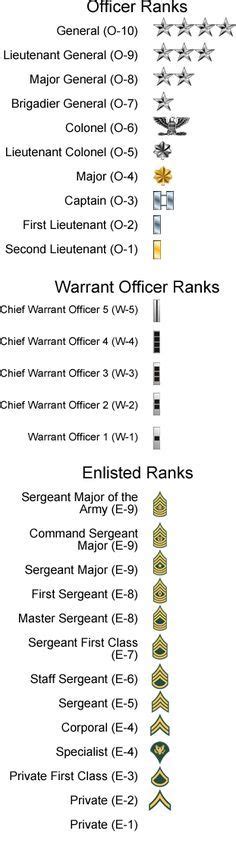 Number Of Officers By Rank In The Us Army Maximinus Drusus