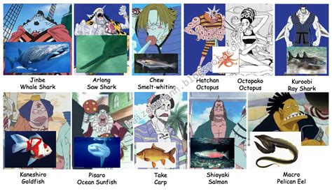 Kaizokudann Known Types Of Fishmen