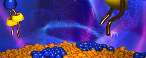 What topics might biologists study? Workshop on Neutrons in Biology: Emergent Topics (8 ...