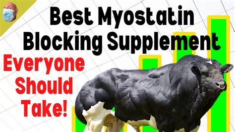 Best Myostatin Blocker For Muscle Gain Youtube