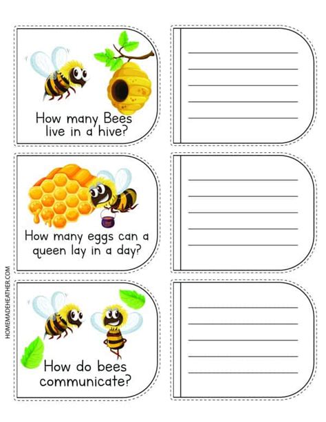 Bees Printables And Bees Worksheets Mommy Is My Teacher Free