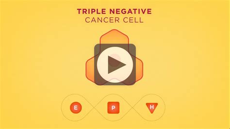 The key to further shift in therapy is detailed knowledge of its clinical and molecular diversity and identification of predictive biomarkers. Triple Negative Breast Cancer - National Breast Cancer ...