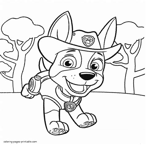 In this place, you will find coloring pages of all main heroes of the paw patrol animated series. Paw Patrol Printable Coloring Sheets Tracker - NEO Coloring