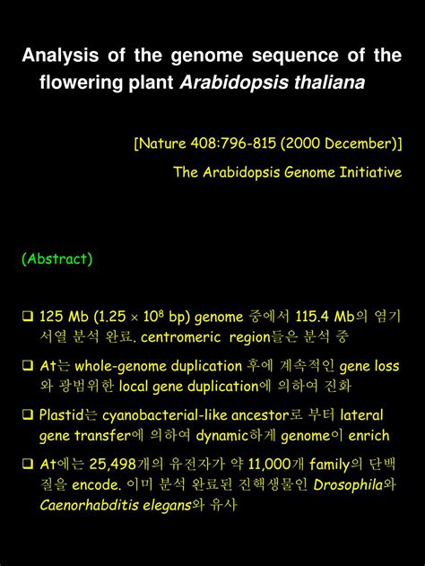 Ppt Arabidopsis Thaliana Genome Powerpoint Presentation Free