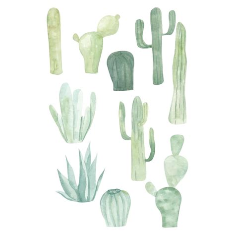Watercolor Cactus Vectors And Illustrations For Free Download Freepik