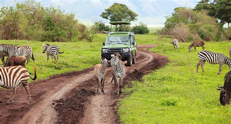 5 Activities In Arusha National Park Arusha National Park Tanzania