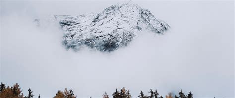 Download Wallpaper 2560x1080 Mountain Peak Cloud Trees Dual Wide