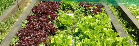 Maybe you would like to learn more about one of these? Hort Can Puig | Hotel Can Puig