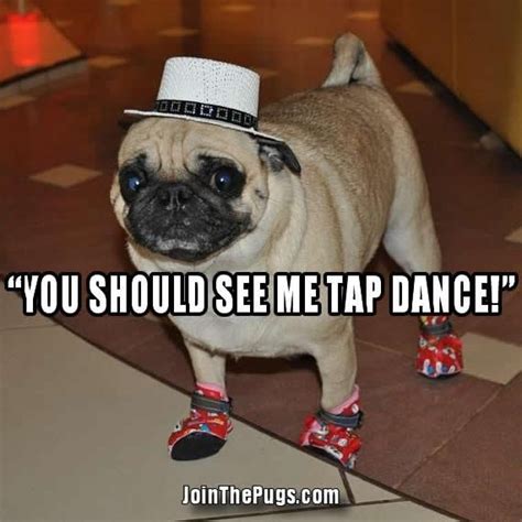 Dancing Shoes Pugs Funny Very Cute Dogs Pugs