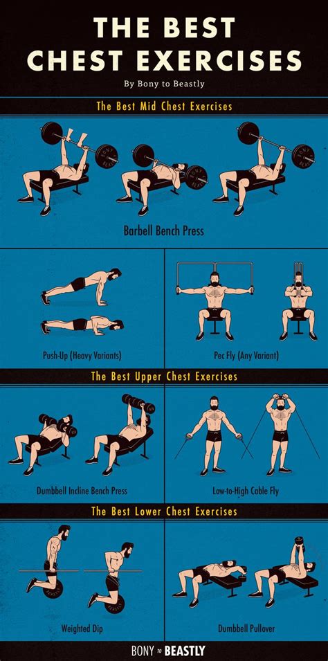 An Illustrated Chart Of The Best Chest Exercises Chest Workout Best Chest Workout Lower