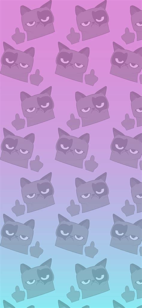 Phone Wallpaper Fc You Cat In 2020 Cat Phone Wallpaper Cool