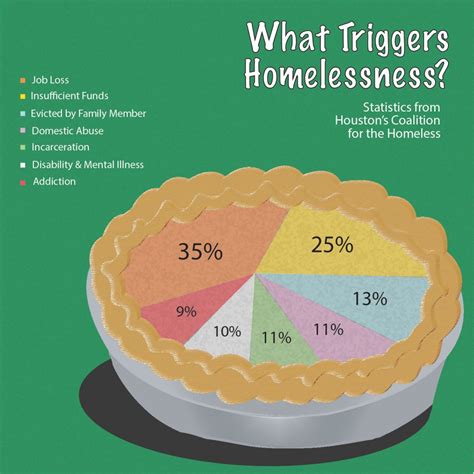 What Triggers Homelessness Pie Chart Homeless Heading Home Hot Sex Picture