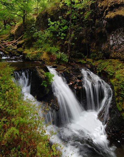 Gorton Creek Falls Hike Hiking In Portland Oregon And Washington