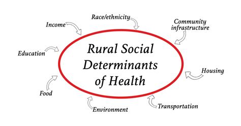Social Determinants Of Health Mind Map